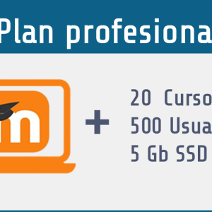 Plan profesional