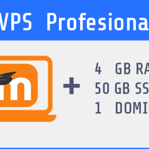 VPS Profesional
